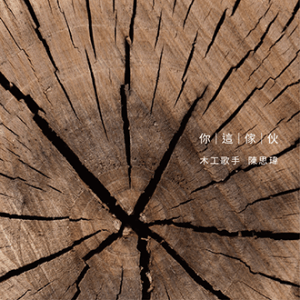 161223_陳思瑋_你這傢伙